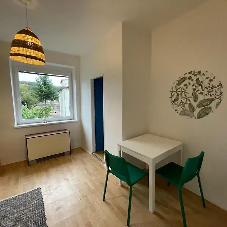 公寓 Rodinny Apartman Vyrov Nové Město nad Metují
